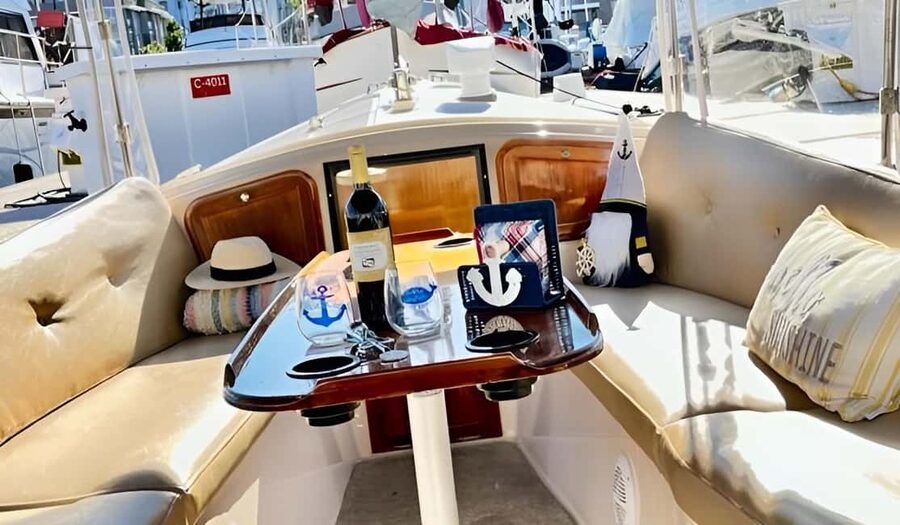 Venice Beach & Malibu View Boat Cruiser- Music Wine Sealions - Wine, Wine Tasting, and Snacks: What You’ll Actually Be Drinking