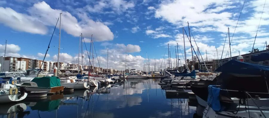 Venice Beach & Malibu View Boat Cruiser- Music Wine Sealions - Wildlife Spotting Without the Stress: Sealions, Pelicans, and Real Expectations