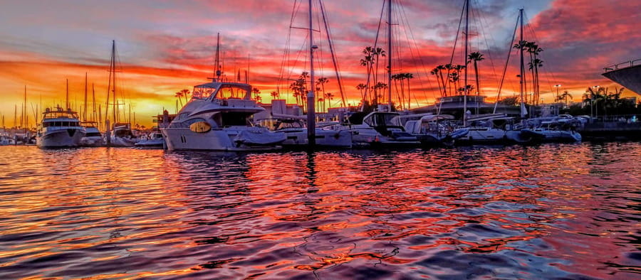 Venice Beach & Malibu View Boat Cruiser- Music Wine Sealions - Group Fun: Birthdays, Bachelorettes, and Low-Key Celebrations