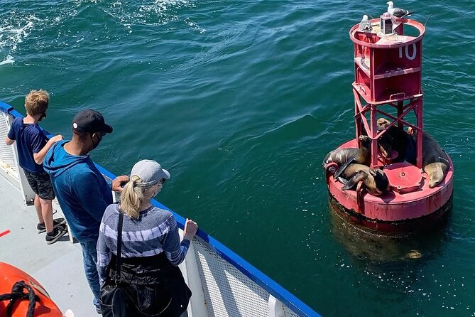 West Harbor LA 45-Minute Narrated Harbor Cruise of San Pedro - AltaSea, Clean Power, and How Modern Ports Are Changing