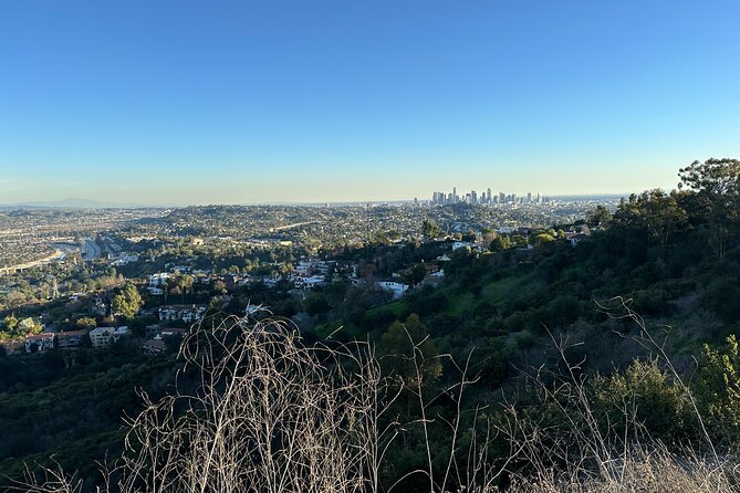 Wild Backside of Griffith Park and LA River by Luxury E-Bike - Cedar Grove micro-forest: small stop, big change in feel